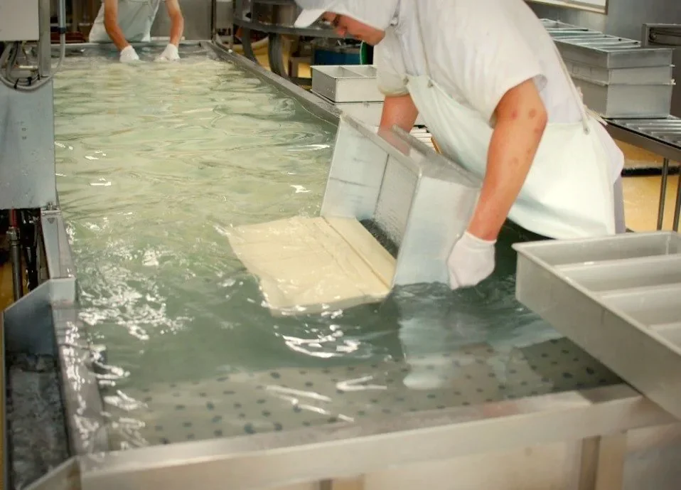 豆腐を水槽で成形する工程